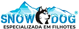 SnowDog – Filhotes em Curitiba