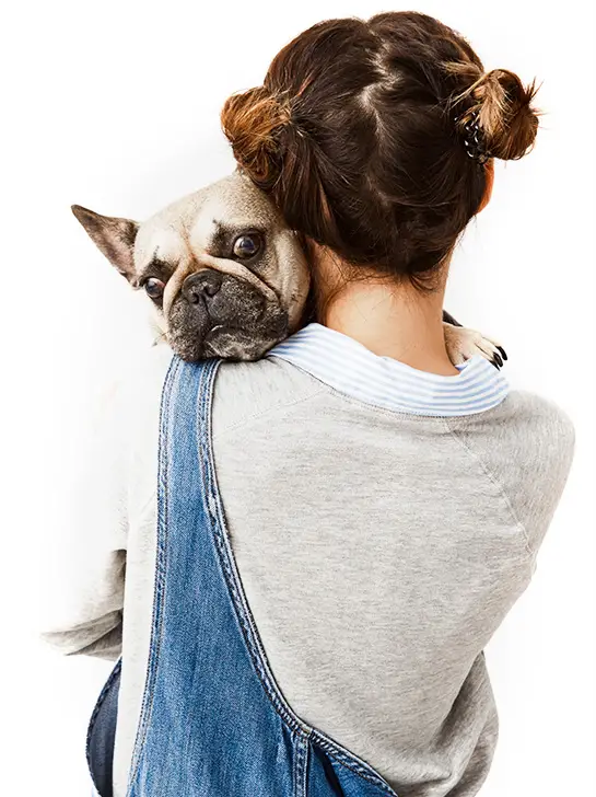 Close up picture of girl with hair in double buns standing backsides holding her puppy in hands. Female teenager wearing denim jumpsuit expressing love to her french bulldog. Feelings, attitude